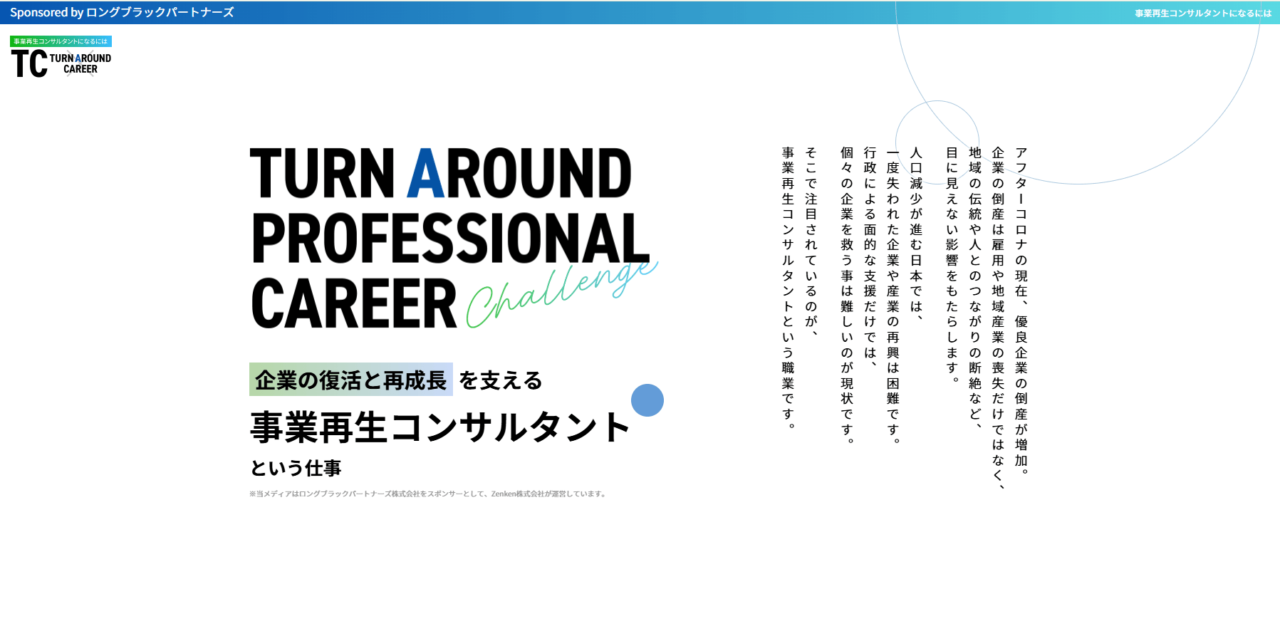 turnaround-professional-career